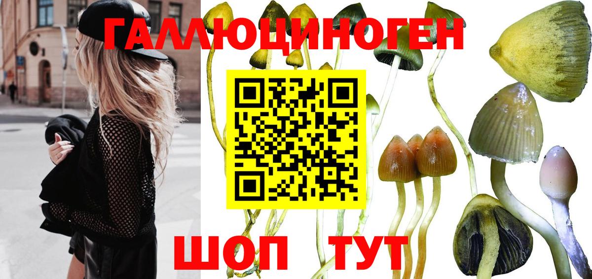 Малоярославец  Псилоцибиновые грибы мухоморы  Вход с VPN  Псилоцибиновые грибы MAGIC MUSHROOMS 